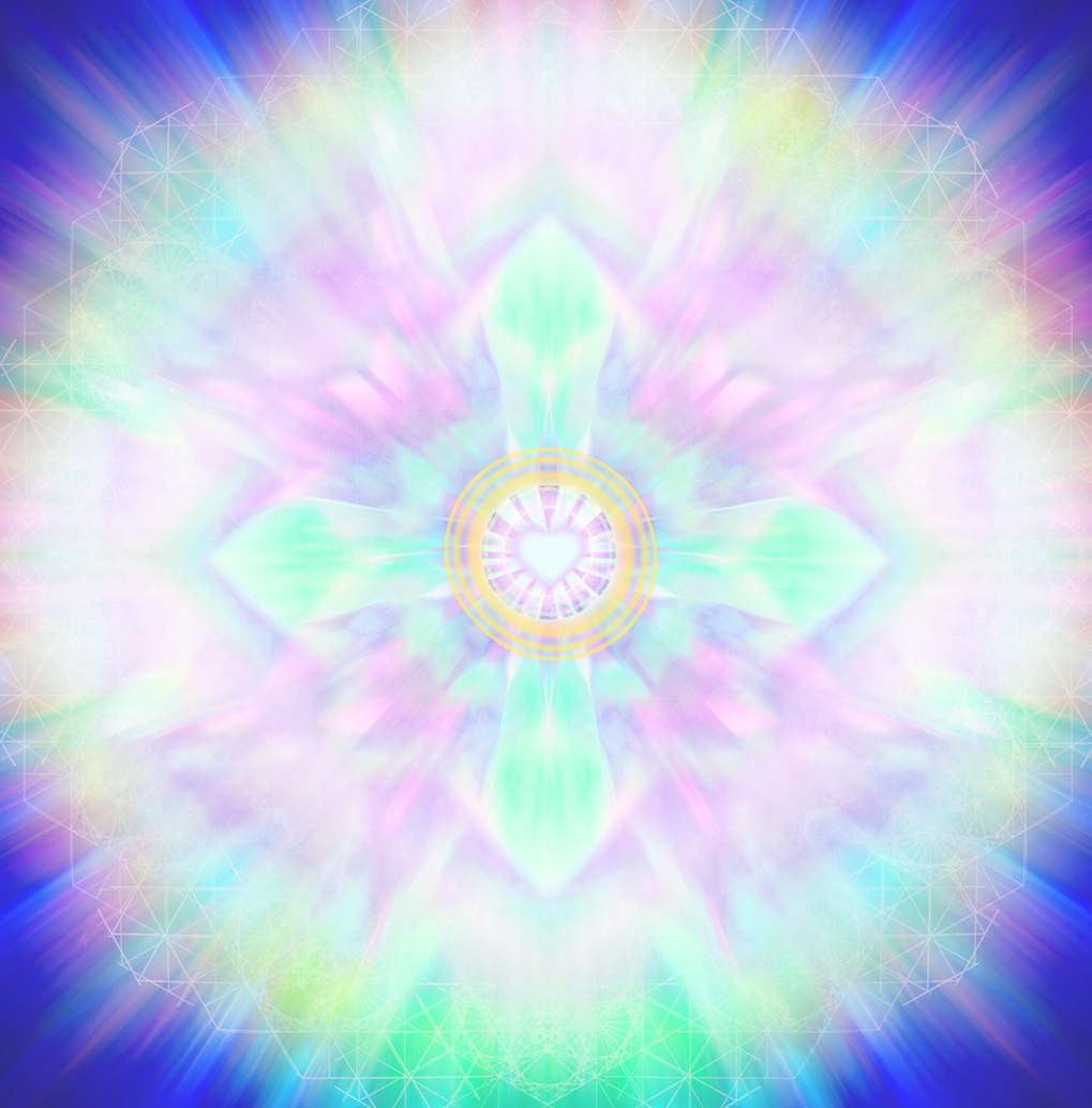plasmic4 copy