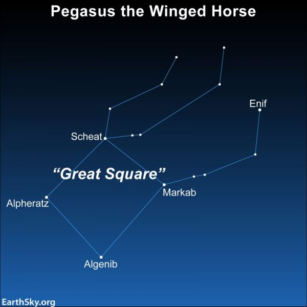 File:Pegasus-the-Winged-Horse.jpg