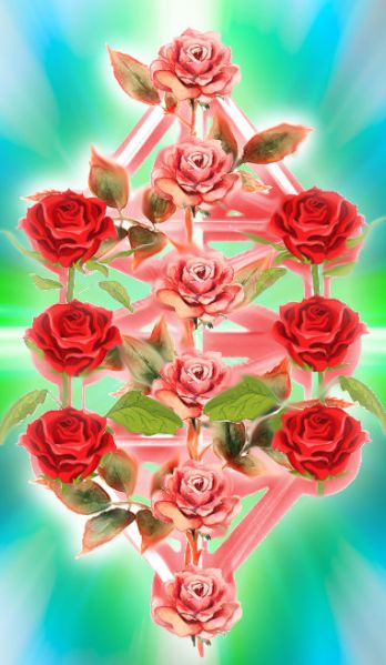 File:Rosetree.jpg